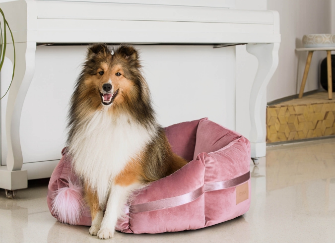 Zdjęcia reklamowe produktów, aranżacje, Snapshot-Studio Rybnik