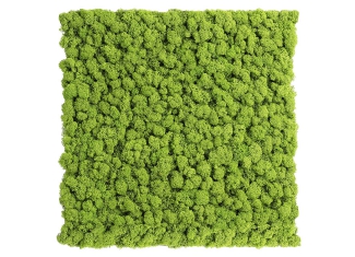 Packshot zdjęcie na białym tle Snapshot Studio Rybnik Katowice