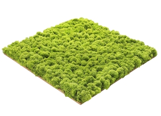 Packshot zdjęcie na białym tle Snapshot Studio Rybnik Katowice